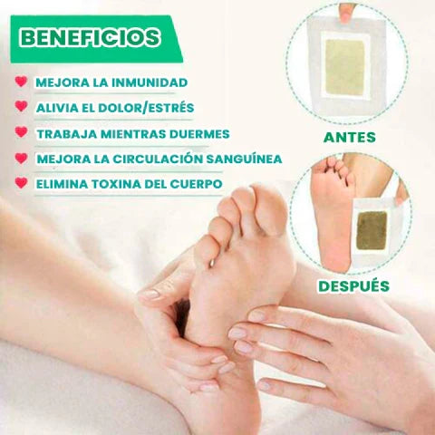 Pack Parches Kinoki Detox